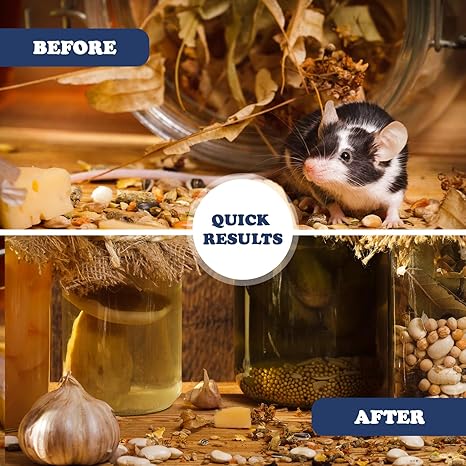 Moen’s Natural Rodent Repellent – 1 lb Peppermint Bag