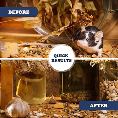 Moen’s Natural Rodent Repellent – 1 lb Peppermint Bag